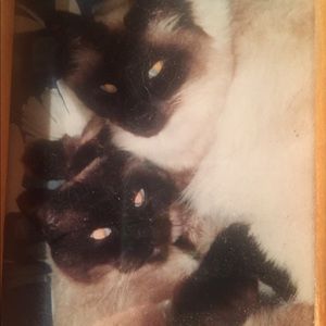 Meet your Posher, Karen